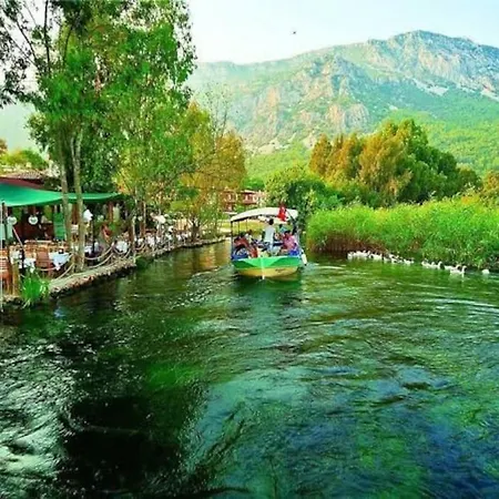 Orman Ile Ic Ice Agac Ev * Ula