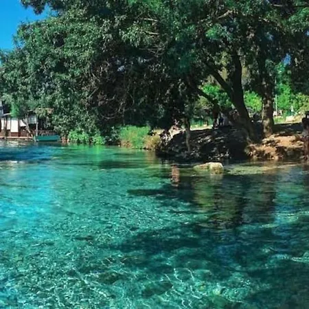 Orman Ile Ic Ice Agac Ev Hotel