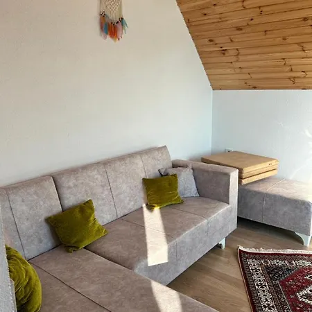 Otel Orman Ile Ic Ice Agac Ev *
