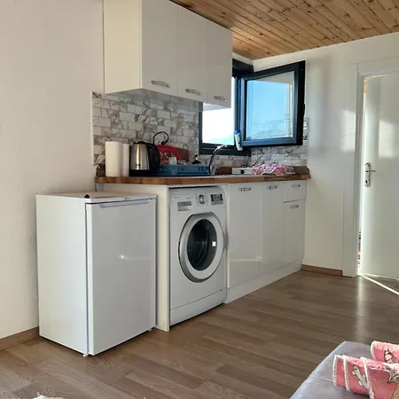 Otel Orman Ile Ic Ice Agac Ev Ula